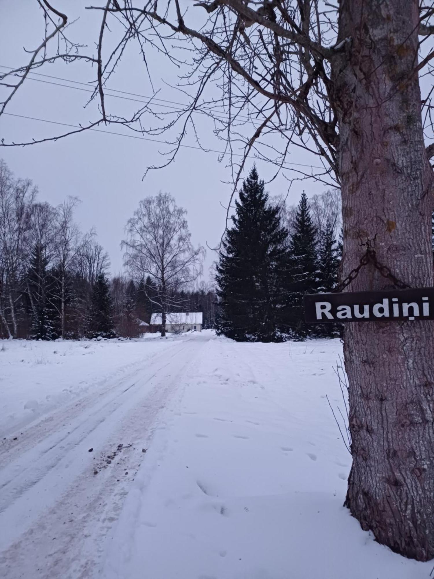 Brivdienu Maja "Raudini" Kaltene 외부 사진